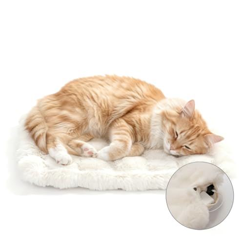 猫用こたつ」の人気商品一覧 | 安い商品を通販サイトから探す - 価格.com